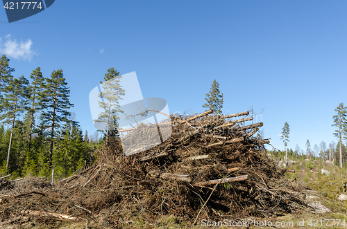 Image of Firewood of felling residues