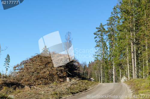 Image of Firewood by roadside