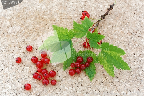 Image of red currant berries