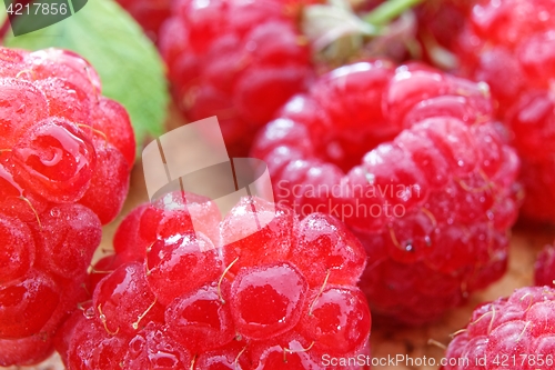 Image of ripe red raspberries