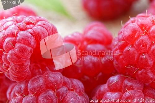 Image of ripe red raspberries