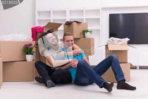 Image of young  gay couple moving  in new house