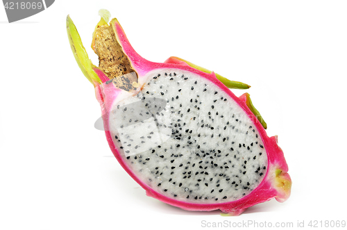 Image of Vivid and Vibrant Dragon Fruit 