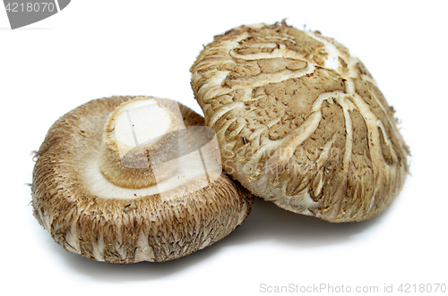 Image of Brown Shiitake mushrooms