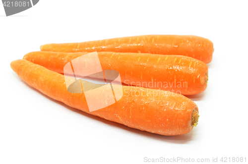 Image of Carrot isolated on white background