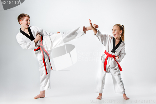 Image of The studio shot of group of kids training karate martial arts