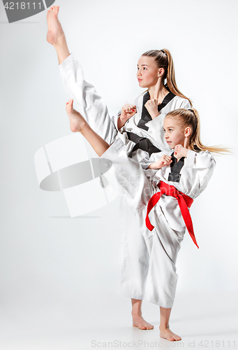 Image of The studio shot of group of kids training karate martial arts