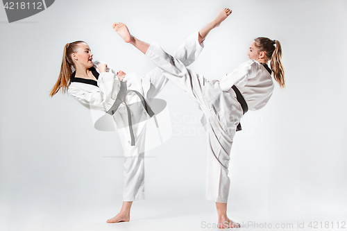 Image of The studio shot of group of kids training karate martial arts