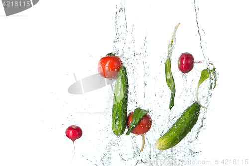 Image of The fresh tomatos, cucumbers, radish in spray of water.