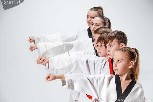 Image of The studio shot of group of kids training karate martial arts