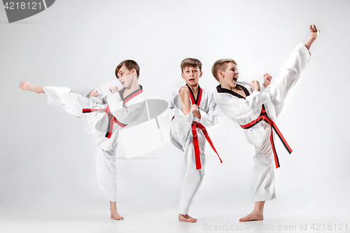 Image of The studio shot of group of kids training karate martial arts