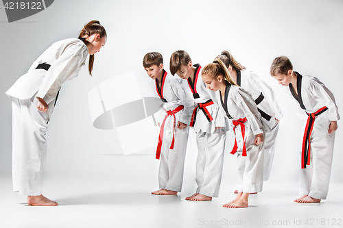 Image of The studio shot of group of kids training karate martial arts