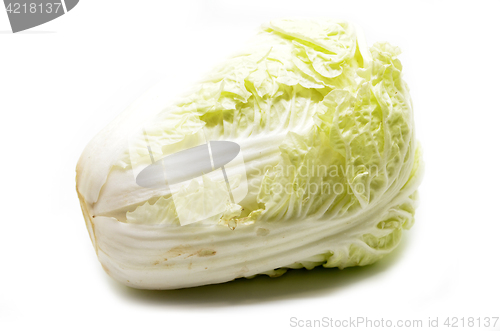 Image of Nappa cabbage isolated