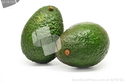 Image of Fresh green avocado