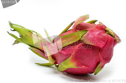 Image of Vivid and Vibrant Dragon Fruit