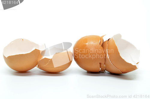 Image of Broken egg shell