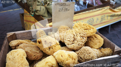 Image of Baskets with natural marine sponges