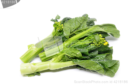 Image of Bunch of floral choy sum