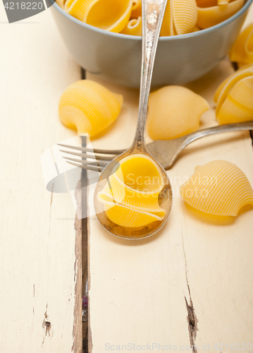 Image of Italian snail lumaconi pasta 