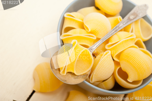 Image of Italian snail lumaconi pasta 