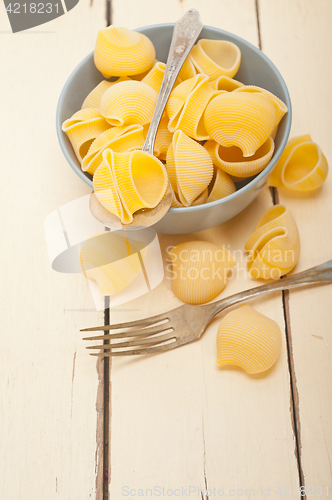 Image of Italian snail lumaconi pasta 