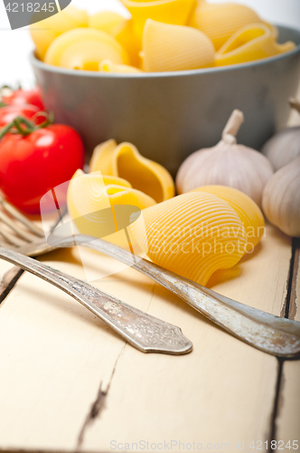 Image of Italian snail lumaconi pasta with tomatoes