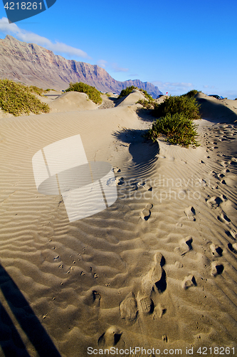 Image of abstract yellow dune beach  hil   mountain   lanzarote spain 