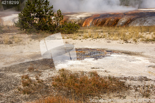 Image of Yellowstone National Park, Utah, USA