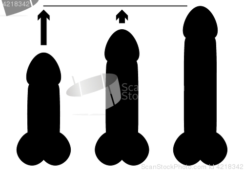 Image of black silhouette of three different size penises