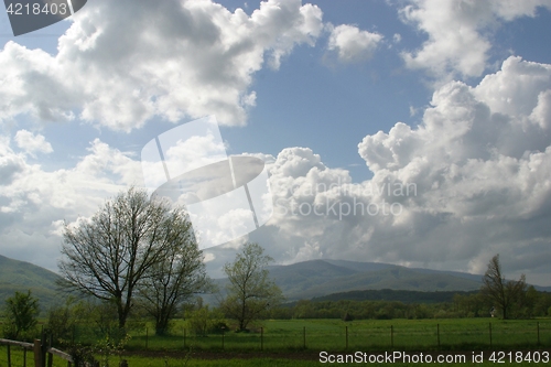 Image of Landscape with blue sky and green herb