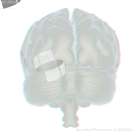 Image of 3D illustration of human brain. Anaglyph. View with red/cyan gla