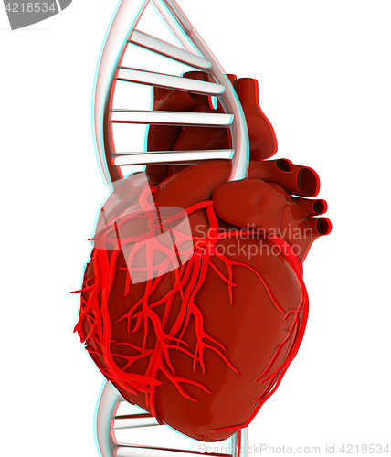 Image of DNA and heart. 3d illustration. Anaglyph. View with red/cyan gla