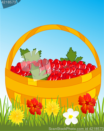 Image of Basket with berry