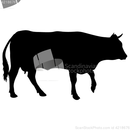Image of Black silhouette of cash cow on white background