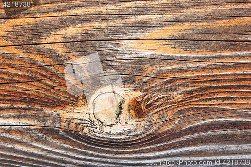 Image of fir wood texture detail