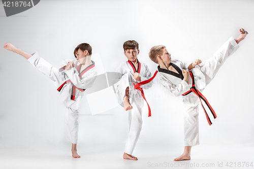 Image of The studio shot of group of kids training karate martial arts