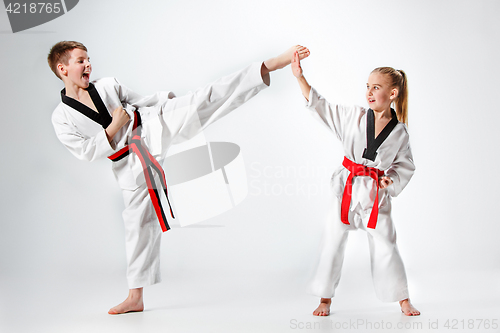 Image of The studio shot of group of kids training karate martial arts