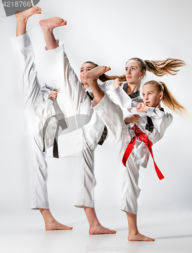 Image of The studio shot of group of kids training karate martial arts