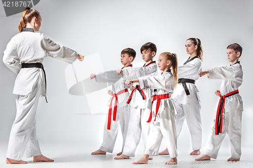 Image of The studio shot of group of kids training karate martial arts