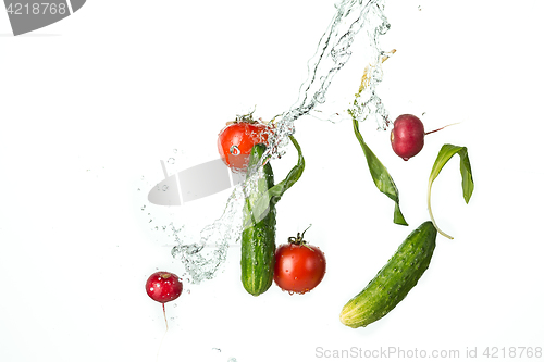 Image of The fresh tomatos, cucumbers, radish in spray of water.