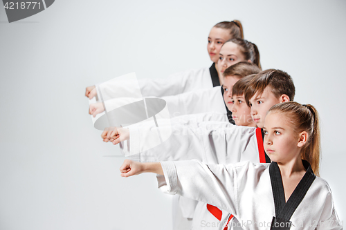 Image of The studio shot of group of kids training karate martial arts