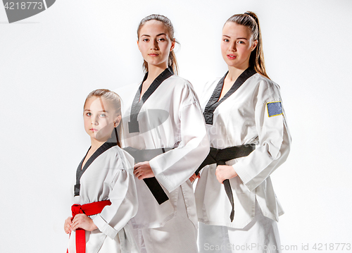 Image of The studio shot of group of women posing as karate martial arts sportsmen