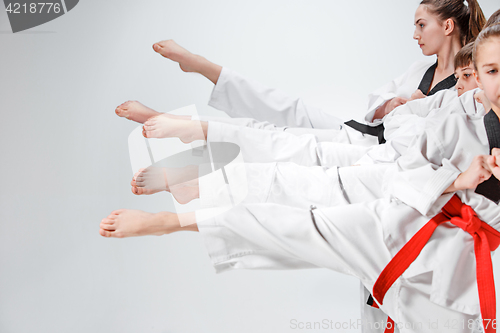 Image of The studio shot of group of kids training karate martial arts