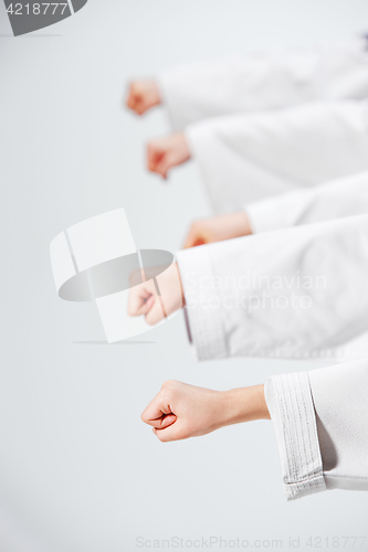 Image of The studio shot of group of kids training karate martial arts