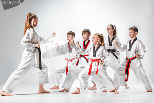 Image of The studio shot of group of kids training karate martial arts