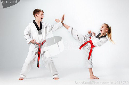 Image of The studio shot of group of kids training karate martial arts