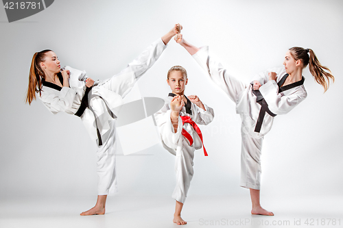 Image of The studio shot of group of kids training karate martial arts