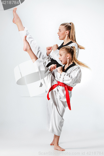 Image of The studio shot of group of kids training karate martial arts