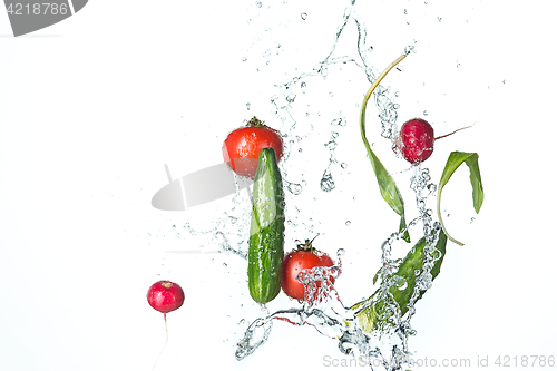 Image of The fresh tomatos, cucumbers, radish in spray of water.