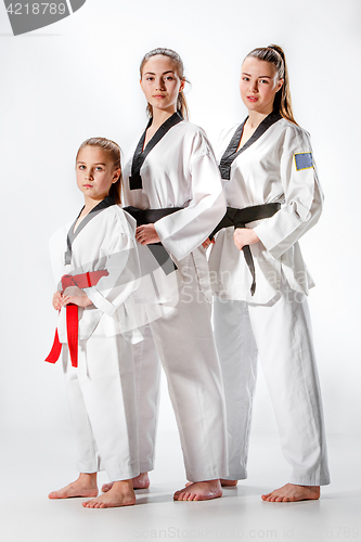 Image of The studio shot of group of women posing as karate martial arts sportsmen